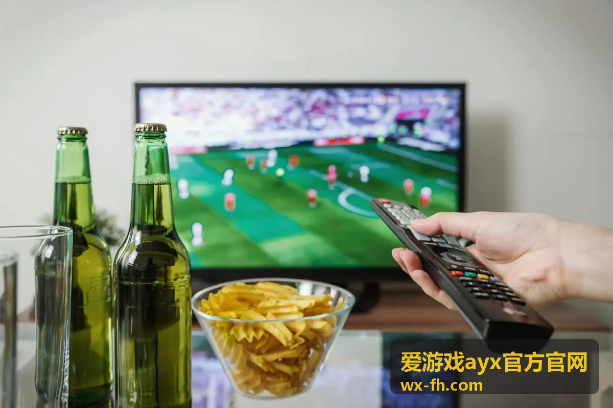 爱游戏ayx官方官网平台指南主题封面